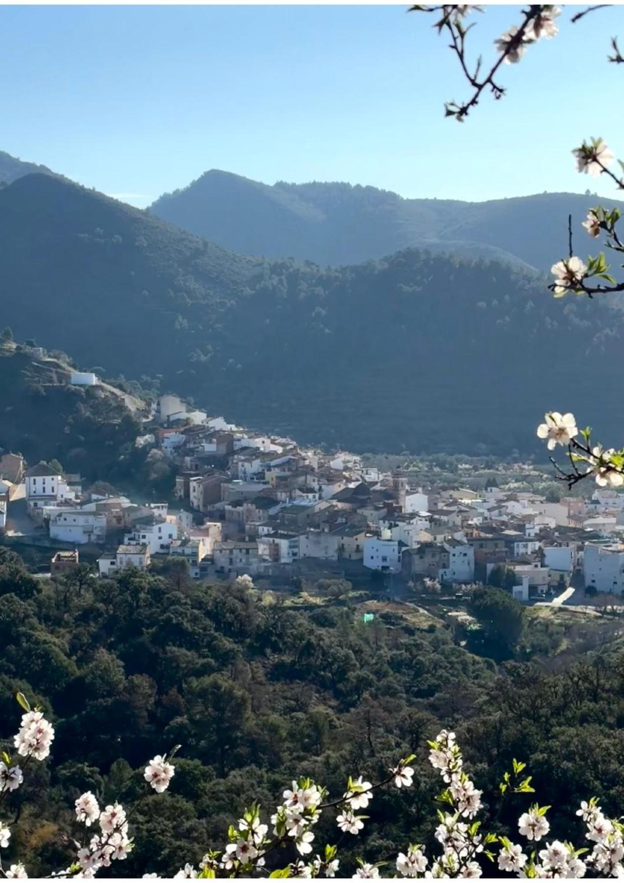 Casa Rural Rustica "El Colmenar" Para Parejas, Familias O Amigos A La Montana Chovar 외부 사진